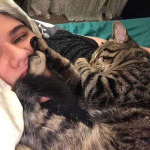 Meet your Posher, Brit